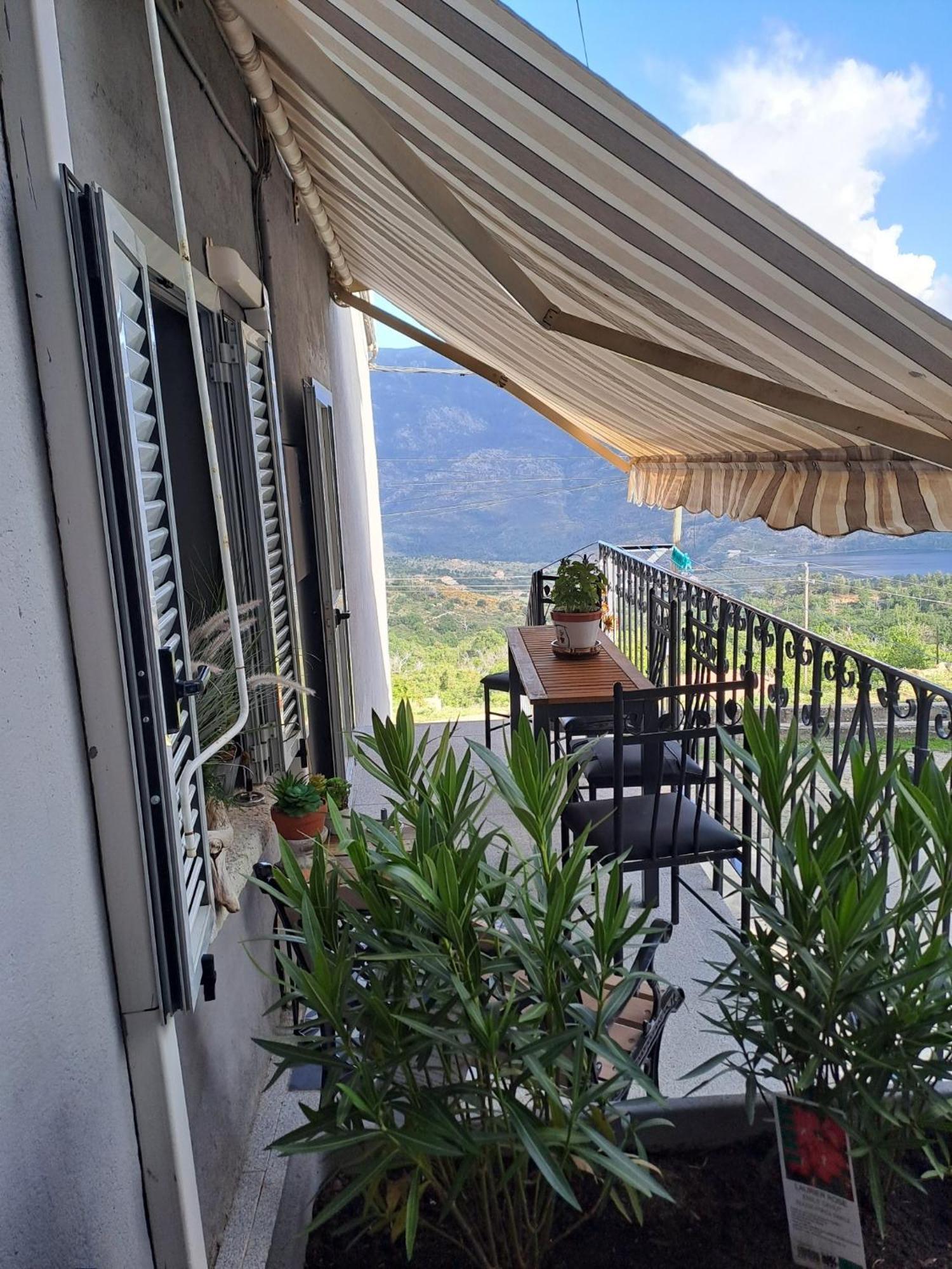 Location En Corse Au Pied Du Monte Cintu Daire Lozzi Dış mekan fotoğraf
